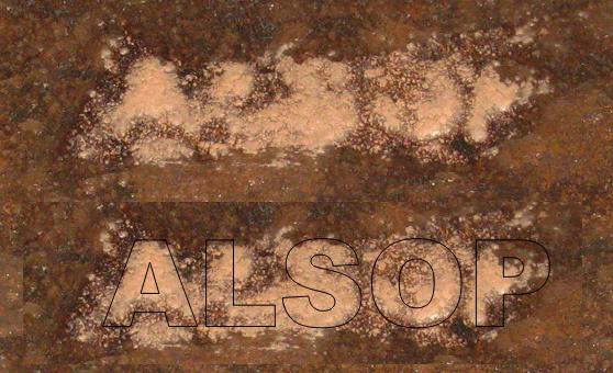 Alsop2-side